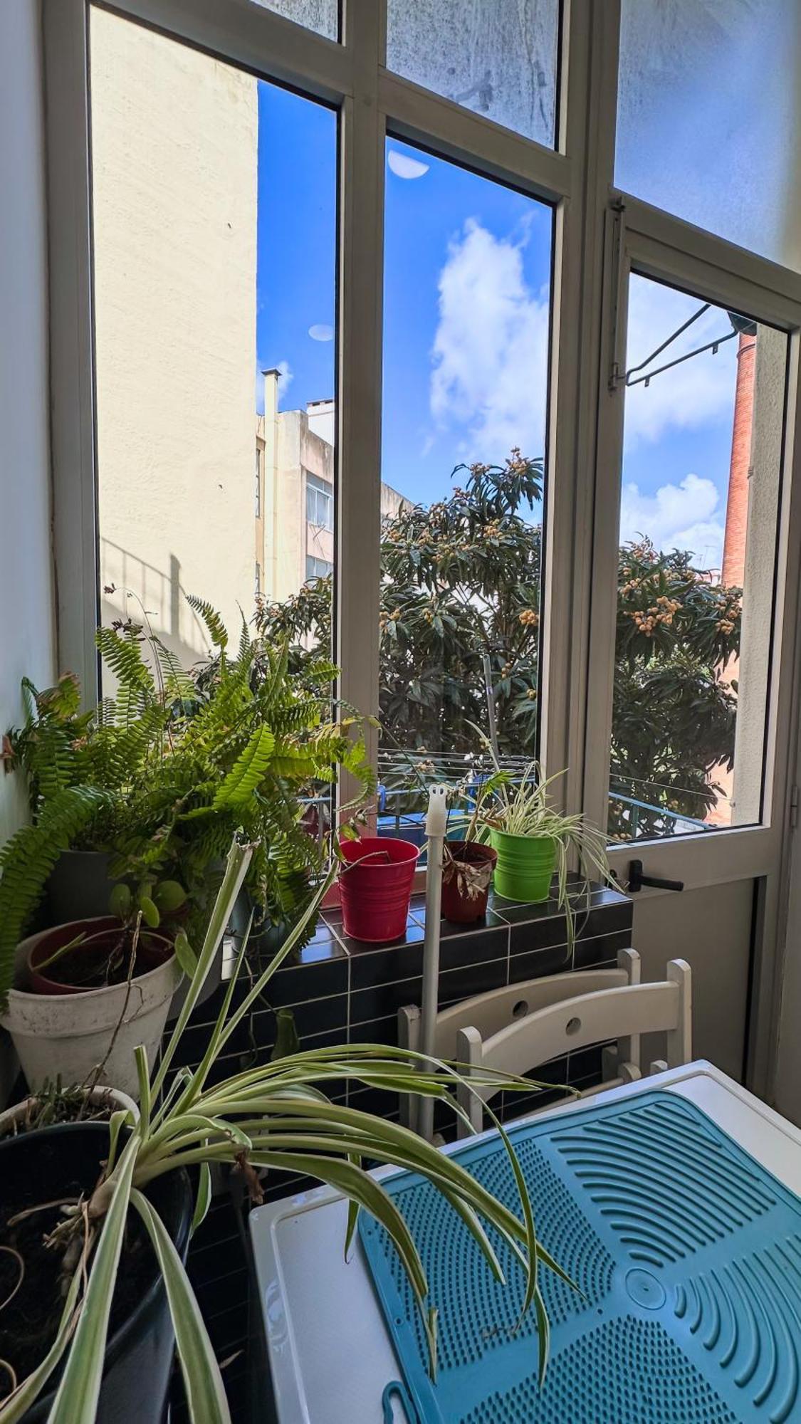 Anjos Signature Decoration Big House In Downtown Lisboa Ngoại thất bức ảnh